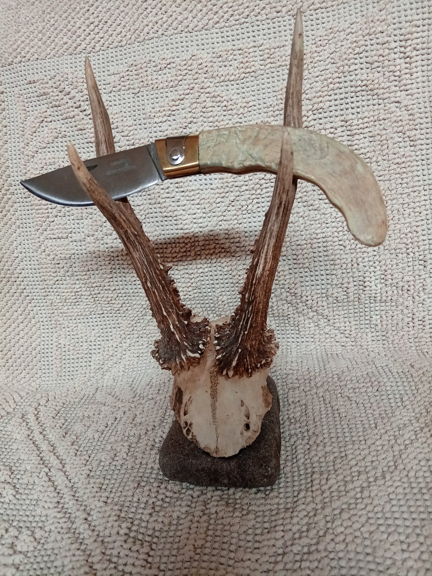 Coltello da collezione arburesa lama 9 CM impugnatura in corno di montone