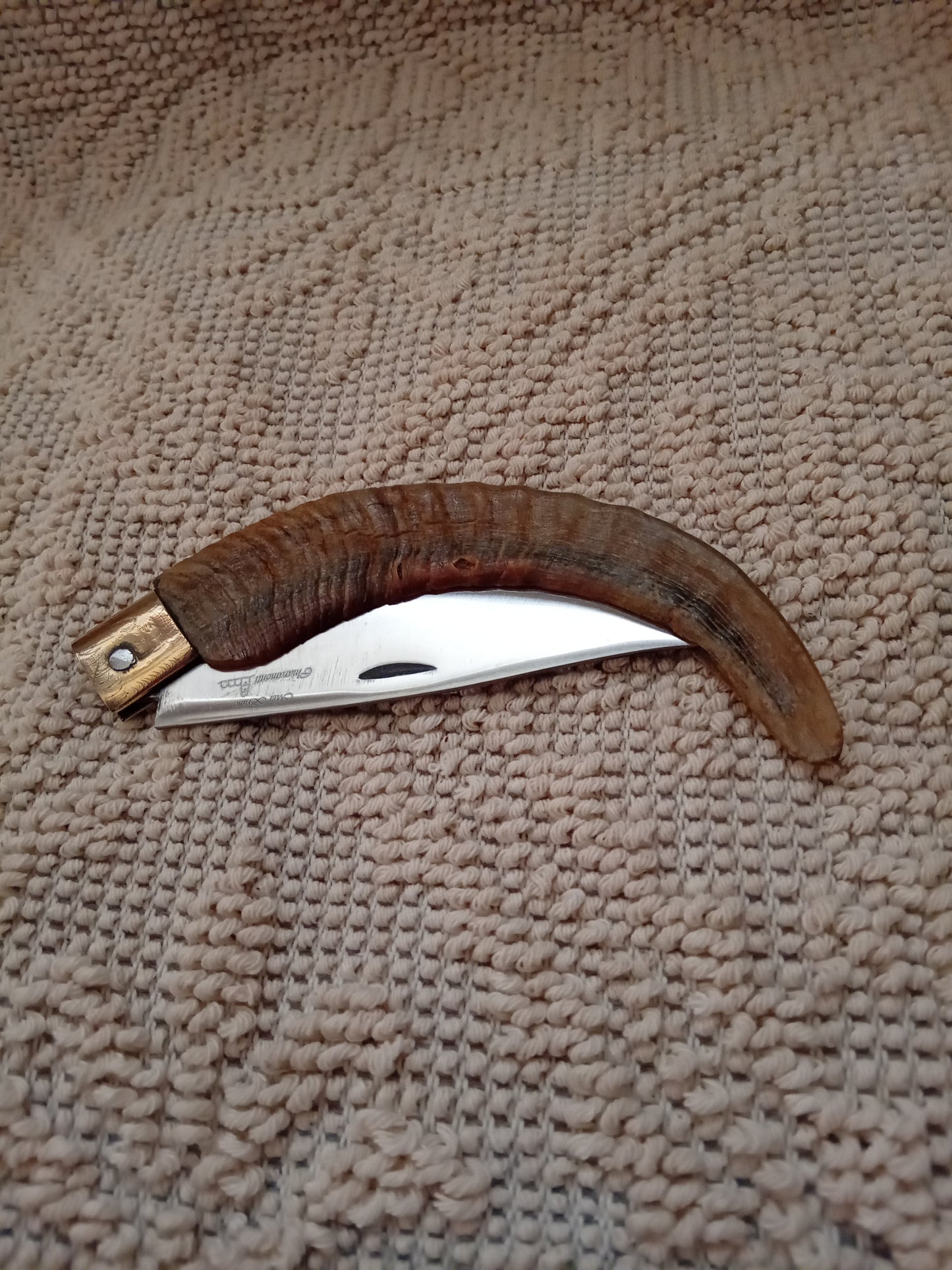 Coltello da collezione arburesa lama 10,5 impugnatura in corno di montone