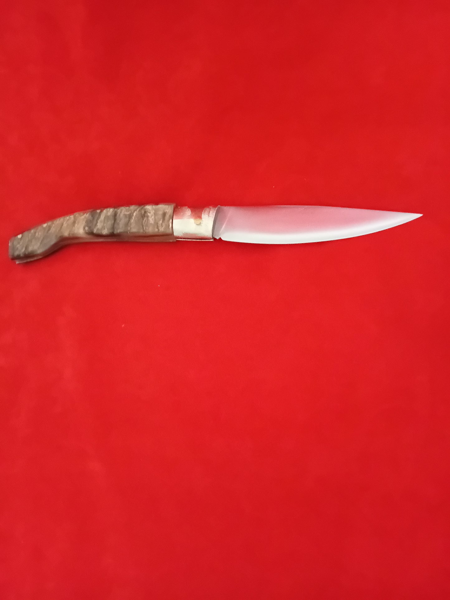 Coltello pattedese con anima lama 12,5 impugnatura corno di muflone striato