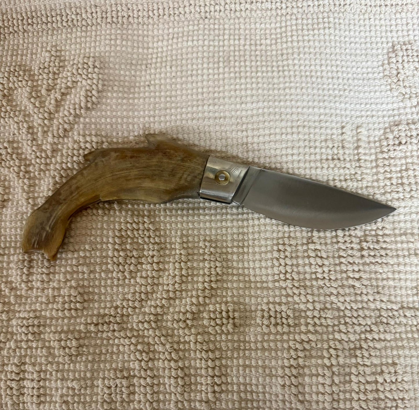Coltello da collezione arburesa lama 9,5 CM impugnatura in corno di montone chiaro. (Copia)