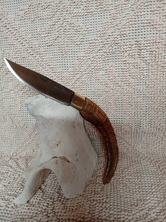 Coltello da collezione  arburesa lama 10,5 impugnatura in corno di montone