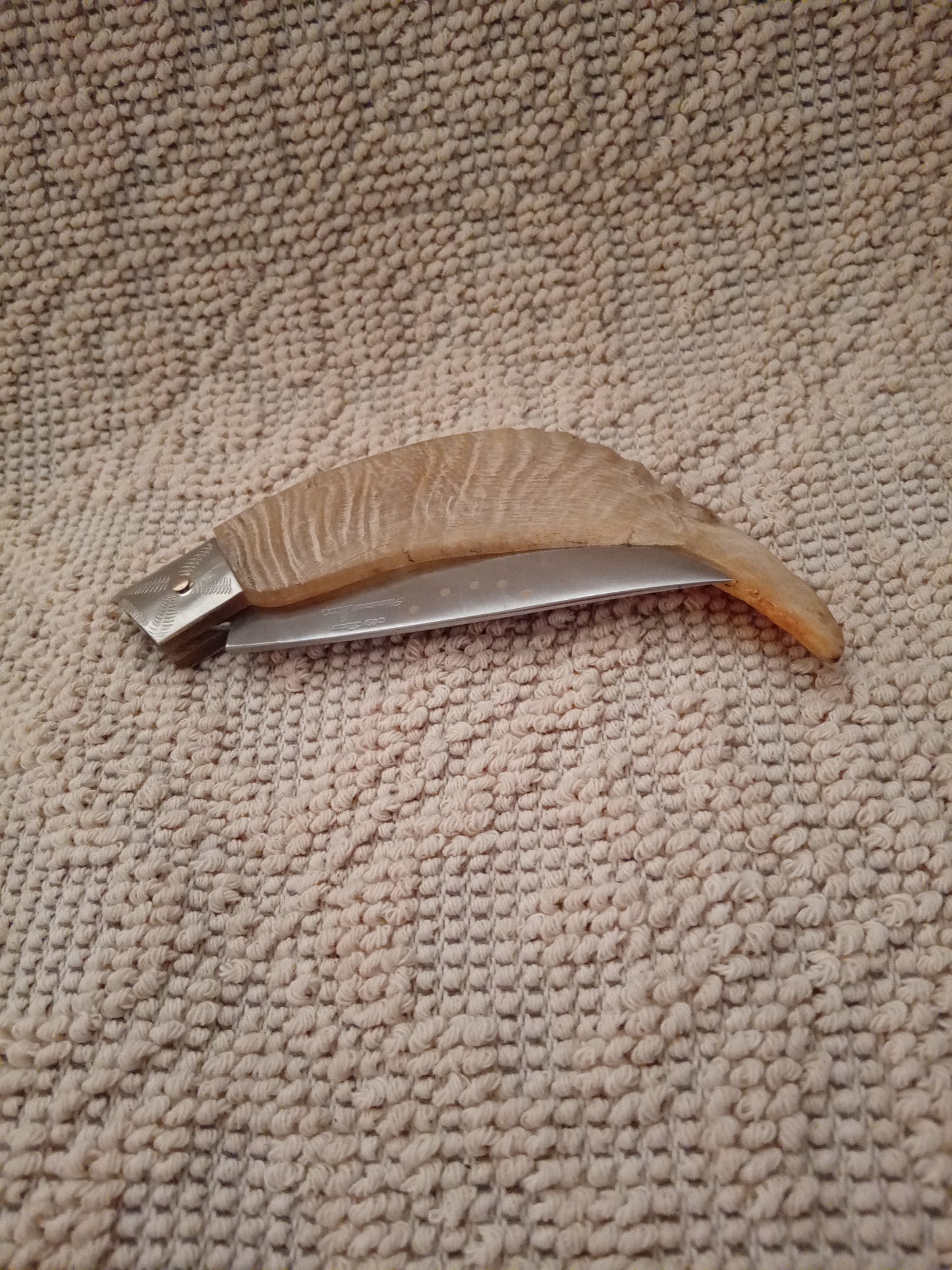 Coltello da collezione arburesa lama 10 CM impugnatura  in corno di montone chiaro
