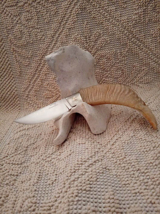 Coltello da collezione arburesa lama 10 CM impugnatura  in corno di montone chiaro
