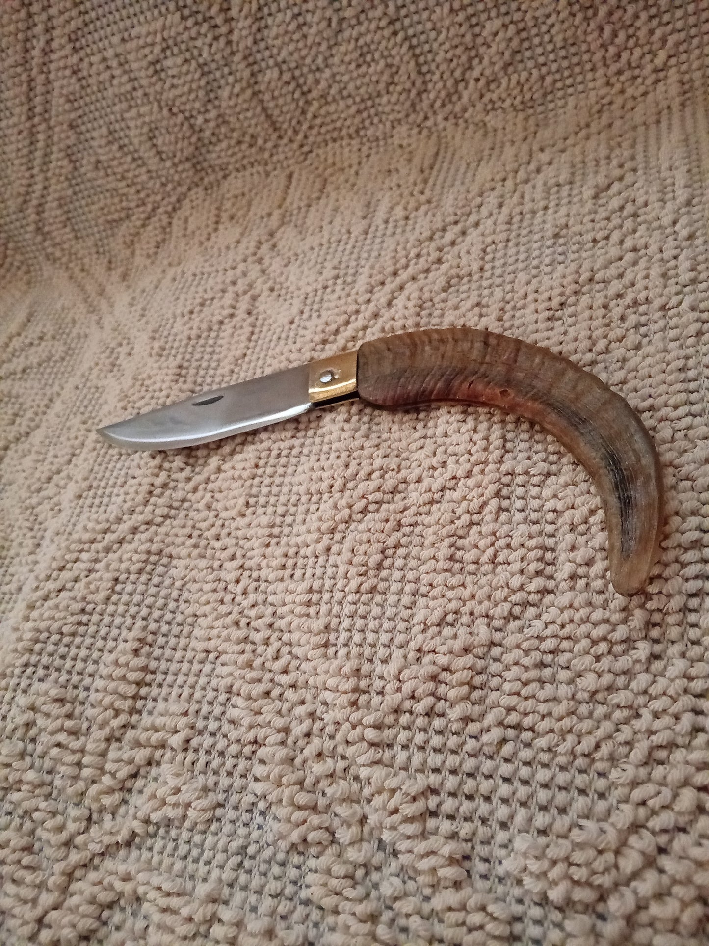 Coltello da collezione  arburesa lama 10,5 impugnatura in corno di montone