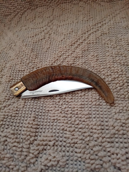 Coltello da collezione  arburesa lama 10,5 impugnatura in corno di montone