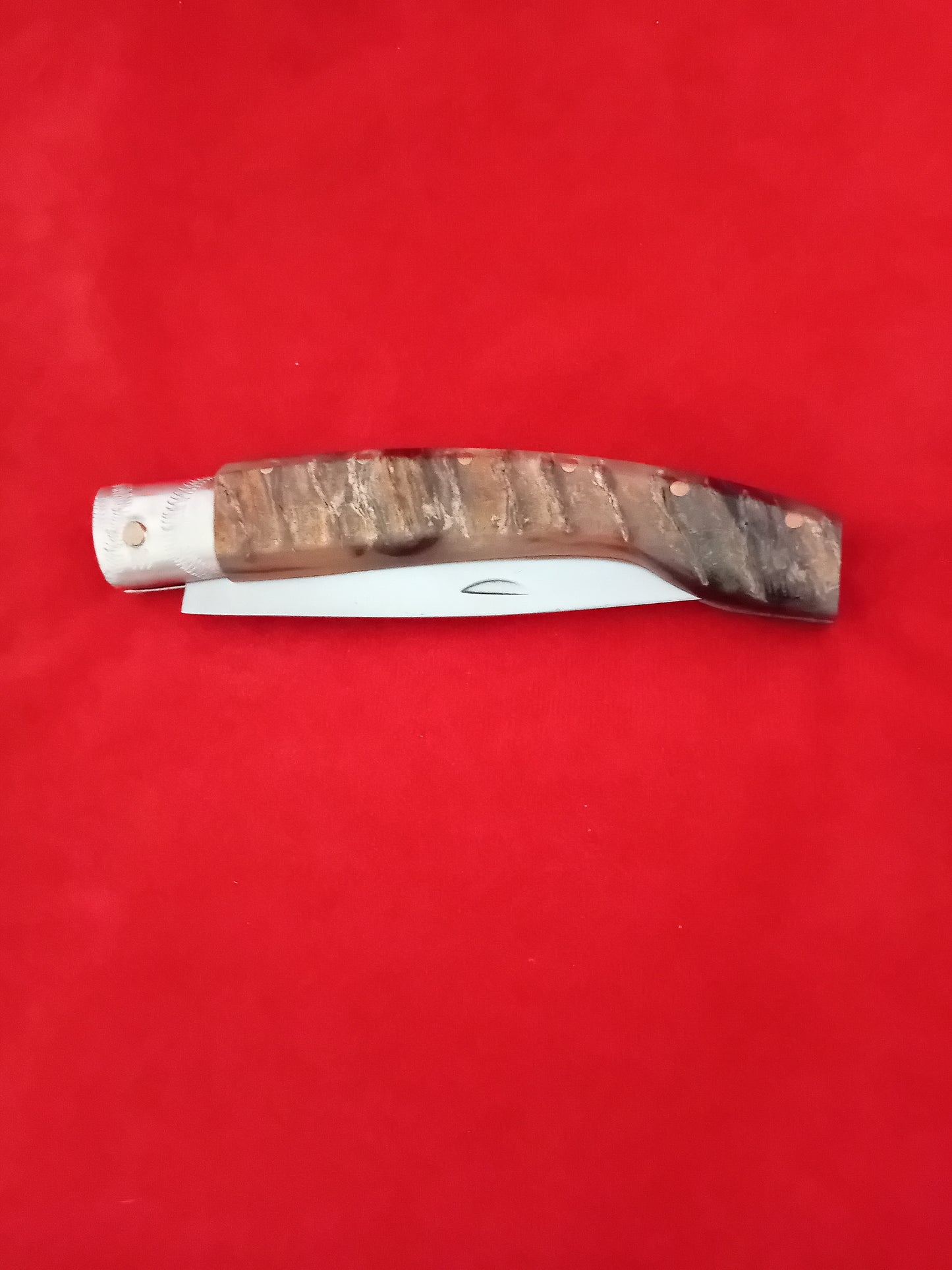 Coltello pattedese con anima  lama 12,5 impugnatura corno di muflone striato