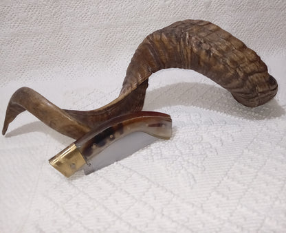 Coltello arburesa  lama 9.5 impugnatura doppio stratto di corno di bufalo