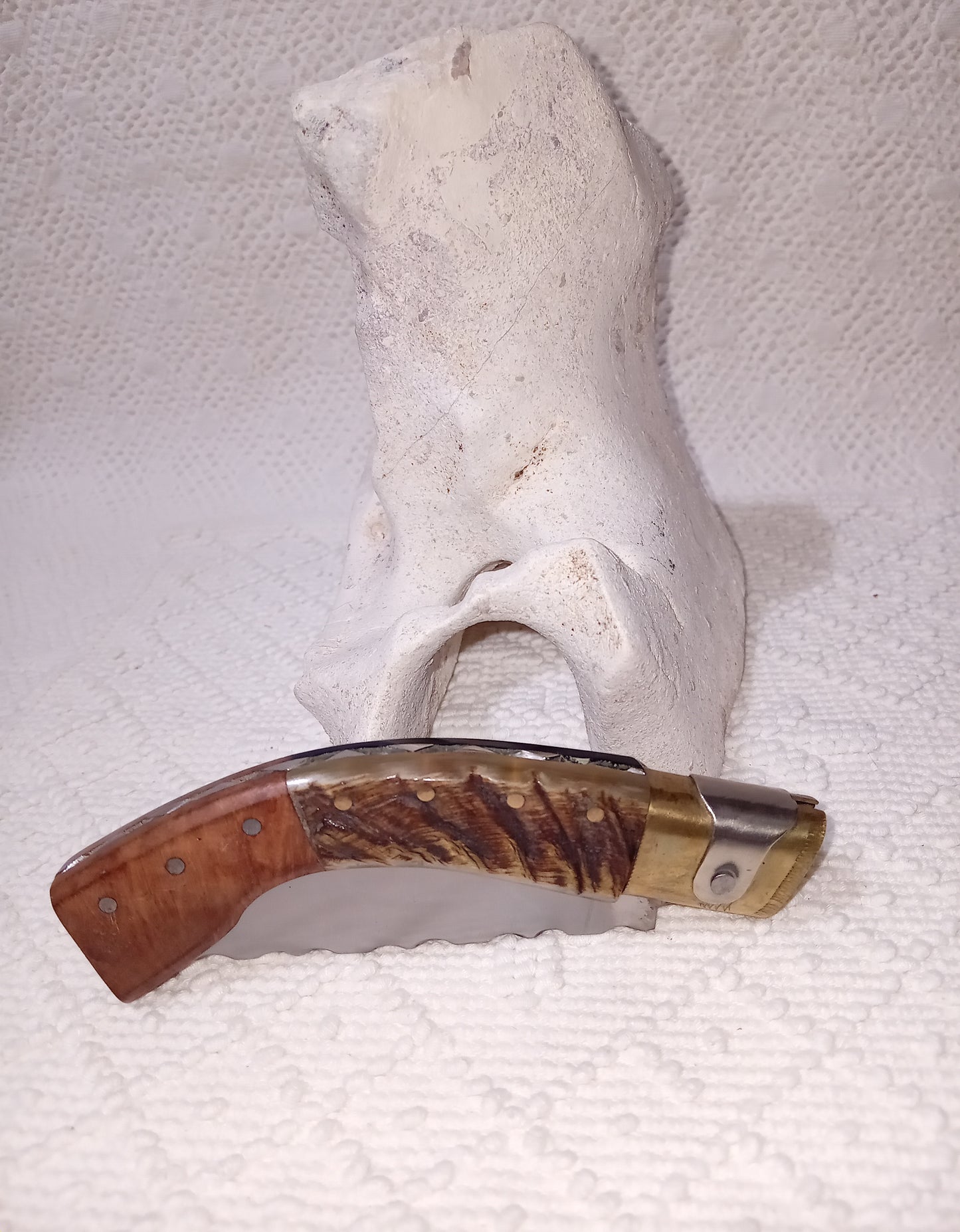Coltello arburesa con anima decorata lama decorata 10 CM impugnatura corno di montone scuro e radica