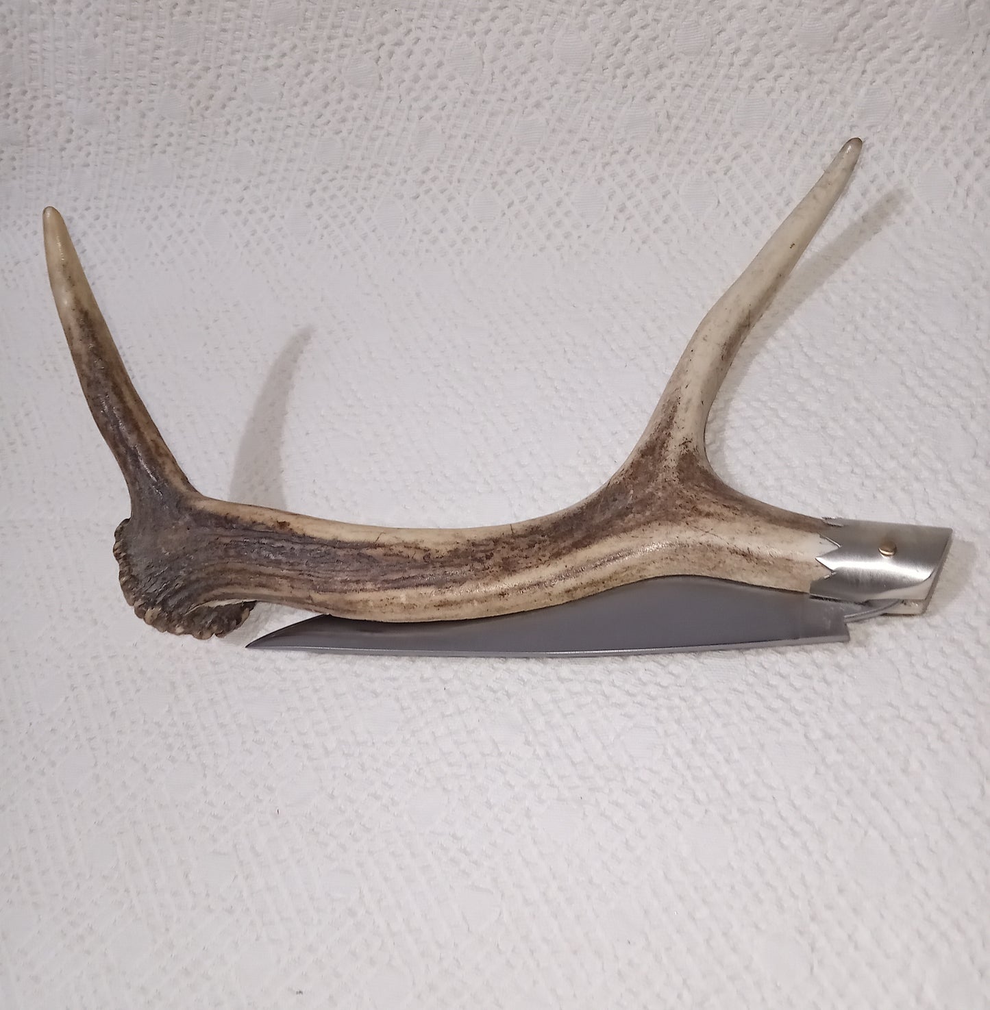 Coltello da collezione lama 16 CM impugnatura corno di cervo