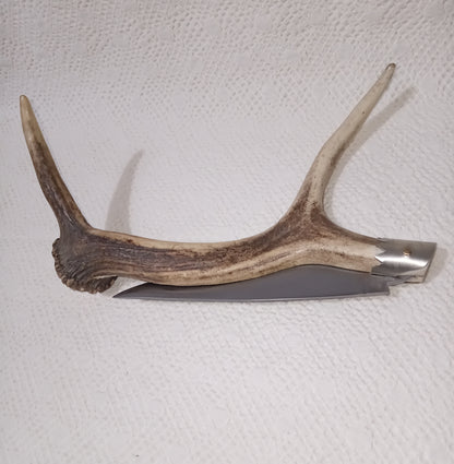 Coltello da collezione lama 16 CM impugnatura corno di cervo