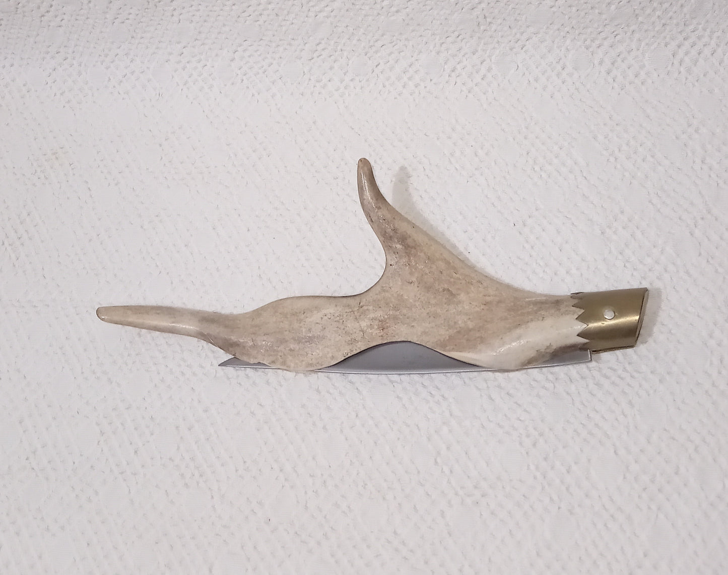 Coltello da collezione lama 16 CM impugnatura in corno di alce