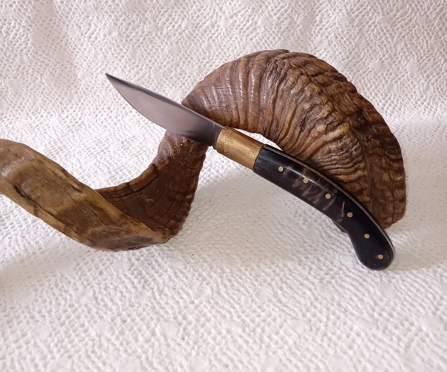 Coltello arburesa con anima, lama 10,5 , impugnatura in corno di montone