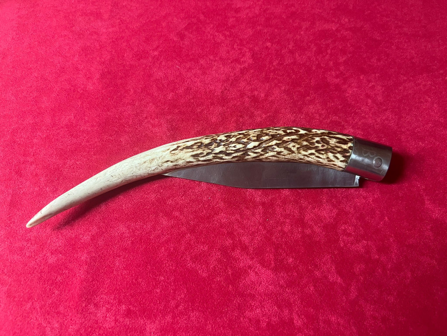 Coltello da collezione ,lama 14 CM,impugnatura in corno di cervo