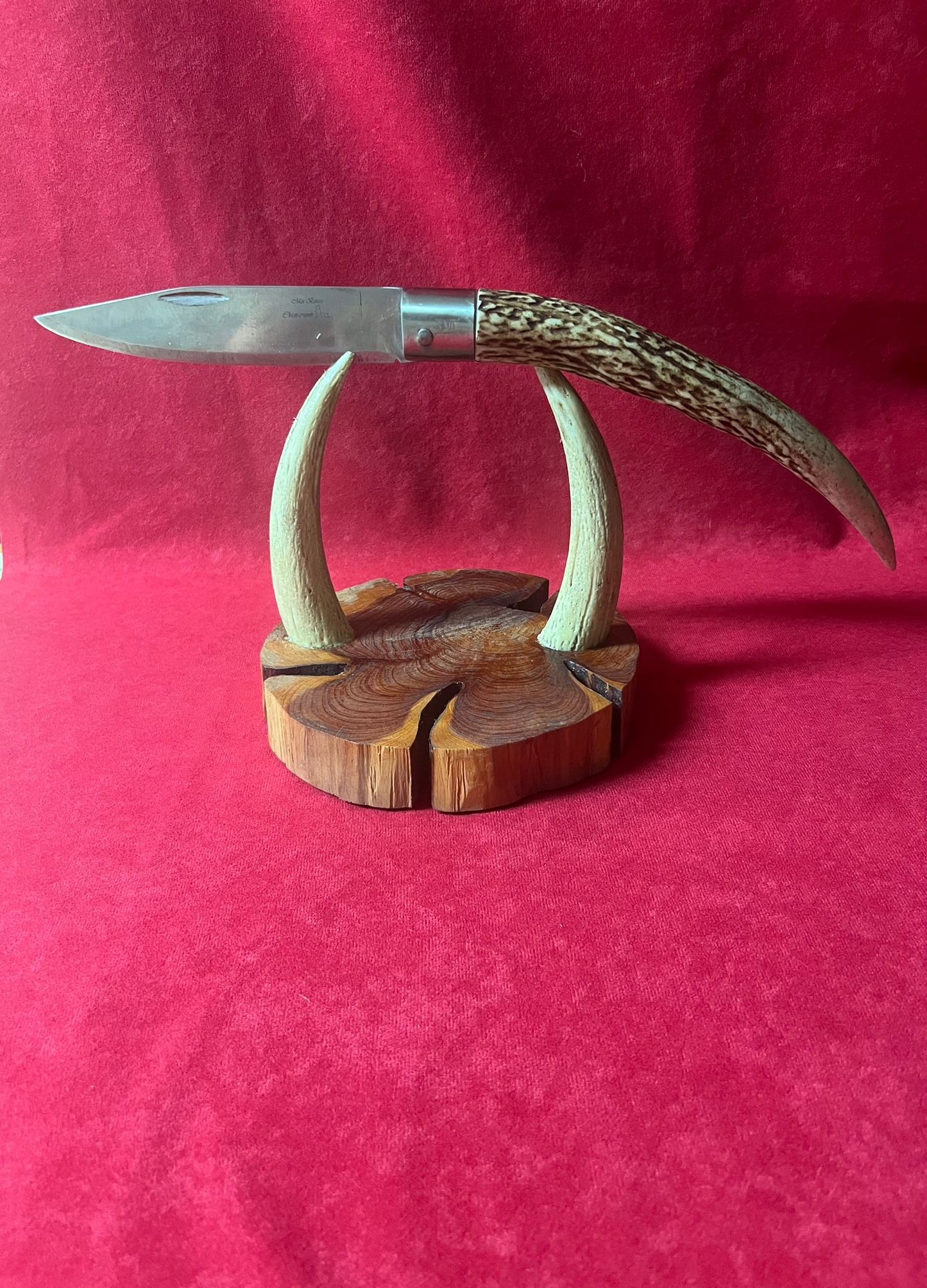 Coltello da collezione ,lama 14 CM,impugnatura in corno di cervo