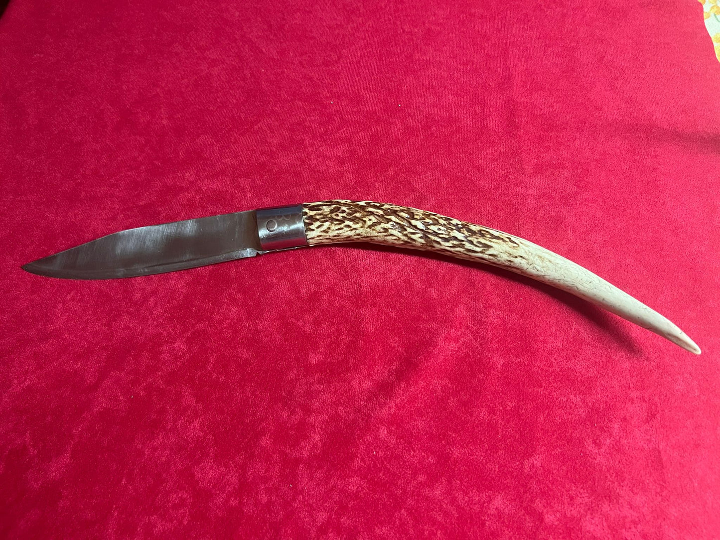Coltello da collezione ,lama 14 CM,impugnatura in corno di cervo