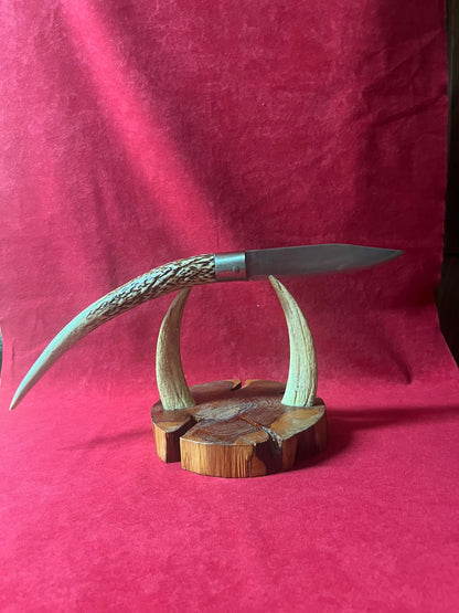 Coltello da collezione ,lama 14 CM,impugnatura in corno di cervo
