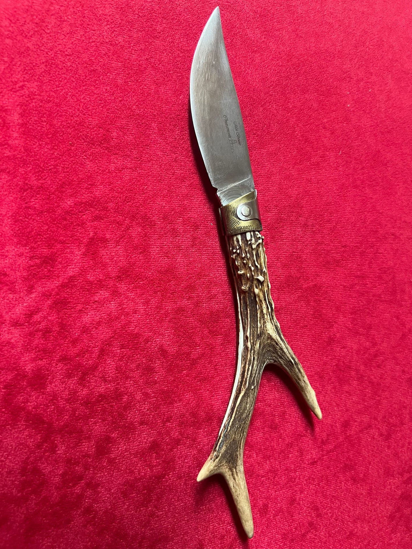 Coltello da collezione arburesa lama 10 CM impugnatura in corno di cervo