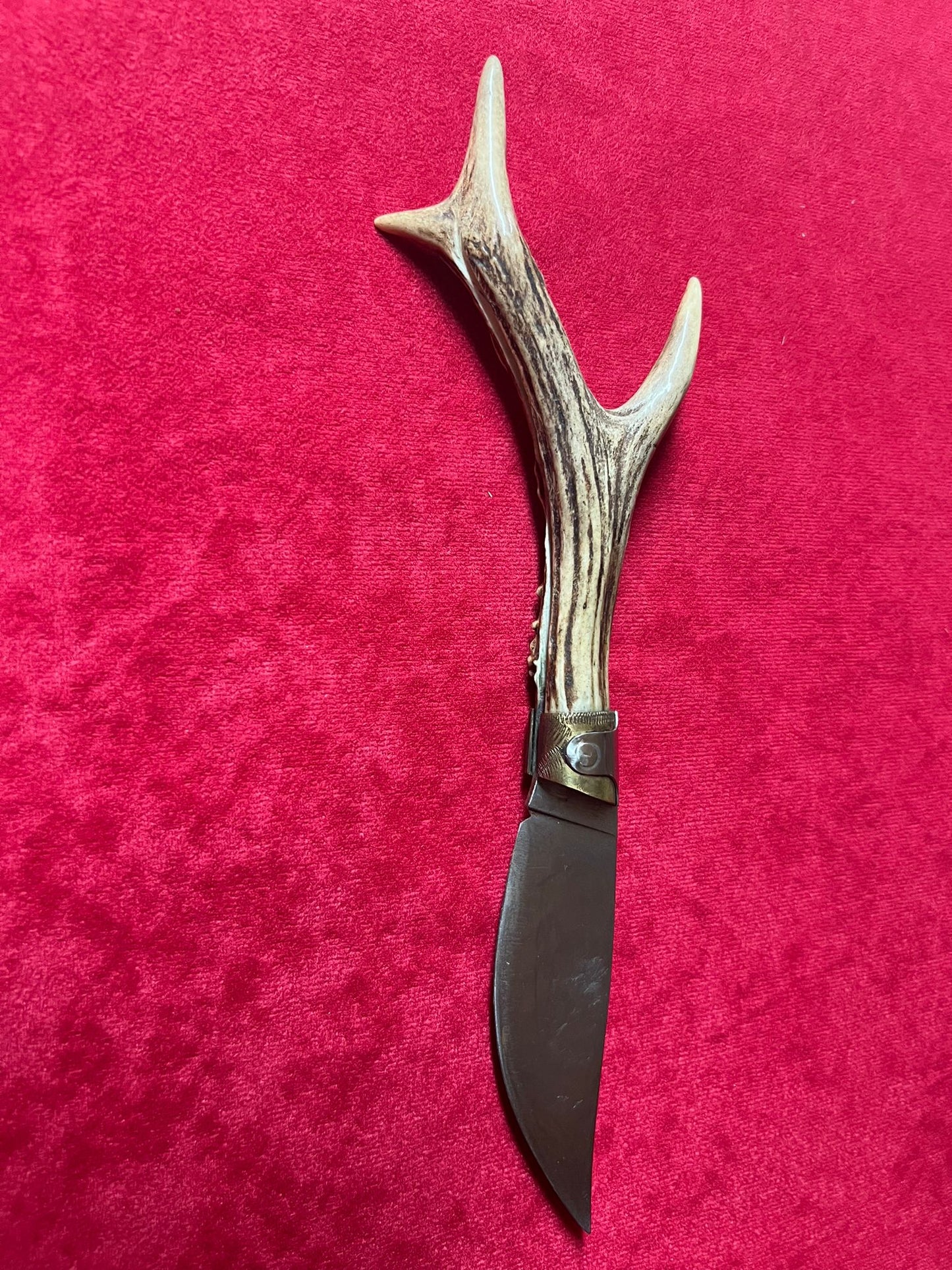 Coltello da collezione arburesa lama 10 CM impugnatura in corno di cervo