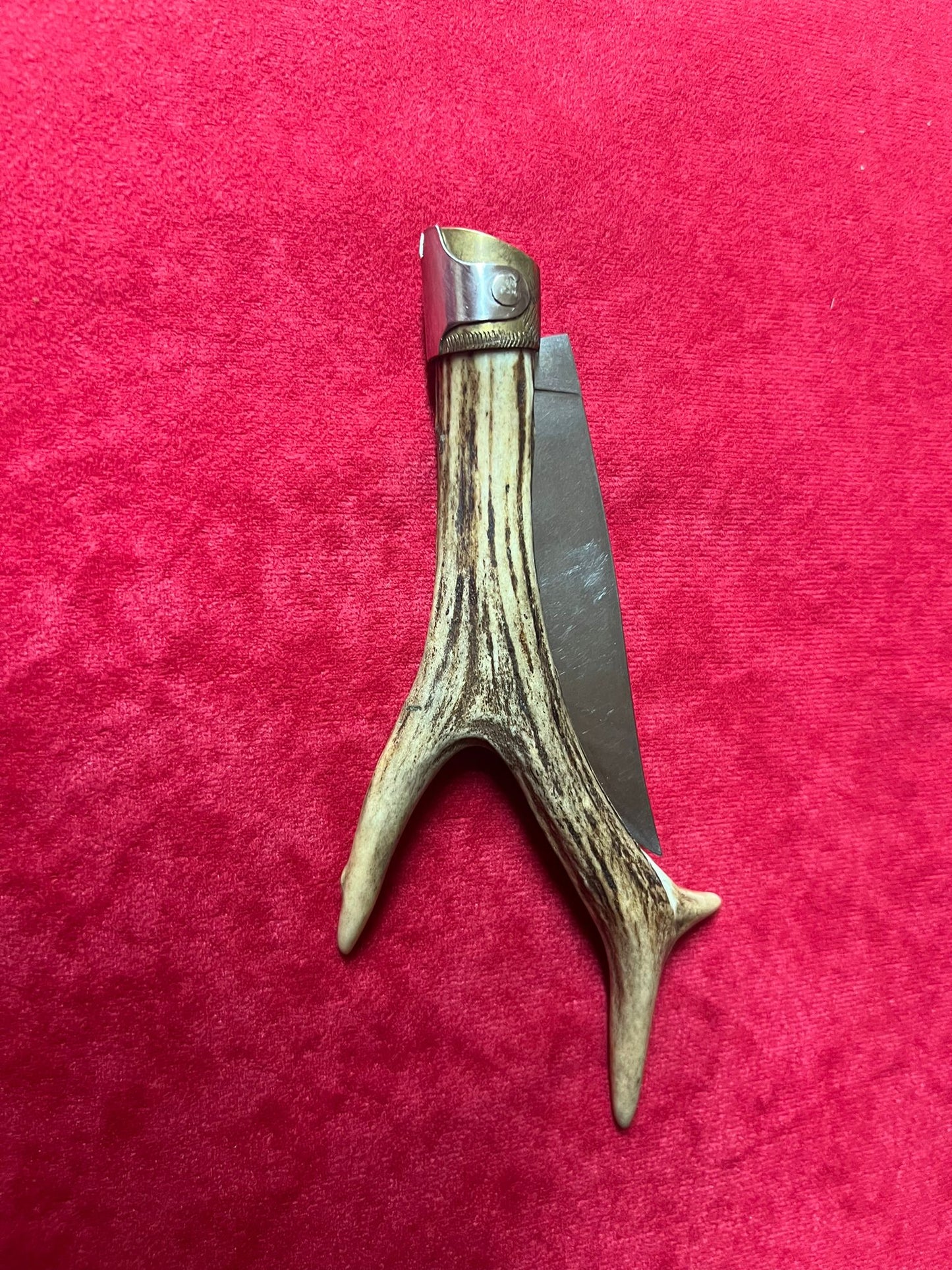 Coltello da collezione arburesa lama 10 CM impugnatura in corno di cervo