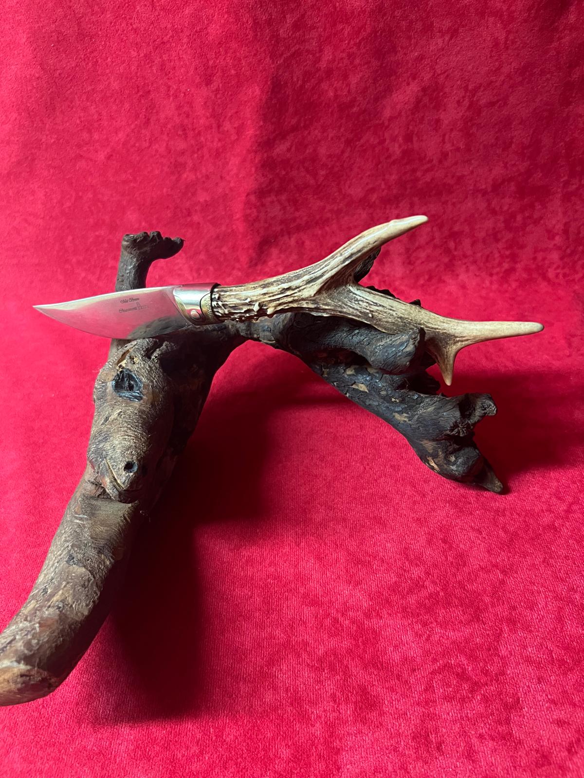 Coltello da collezione arburesa lama 10 CM impugnatura in corno di cervo