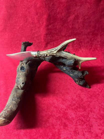 Coltello da collezione arburesa lama 10 CM impugnatura in corno di cervo