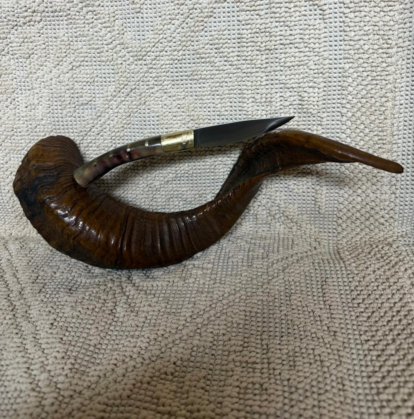 Coltello pattadese con anima, lama  9,5 CM ,impugnatura in corno  di muflone.