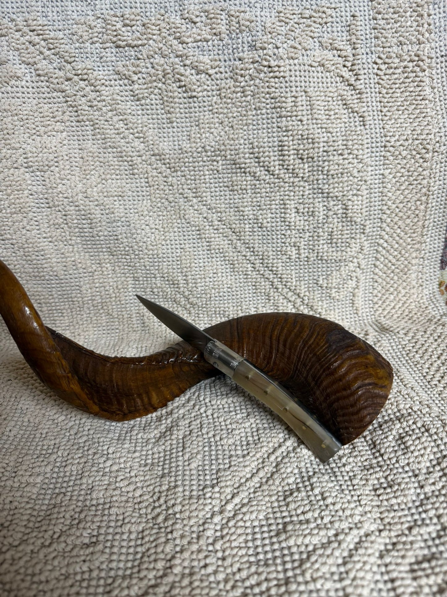 Coltello pattadese con anima , lama 8,5 CM ,impugnatura in corno di muflone striato.