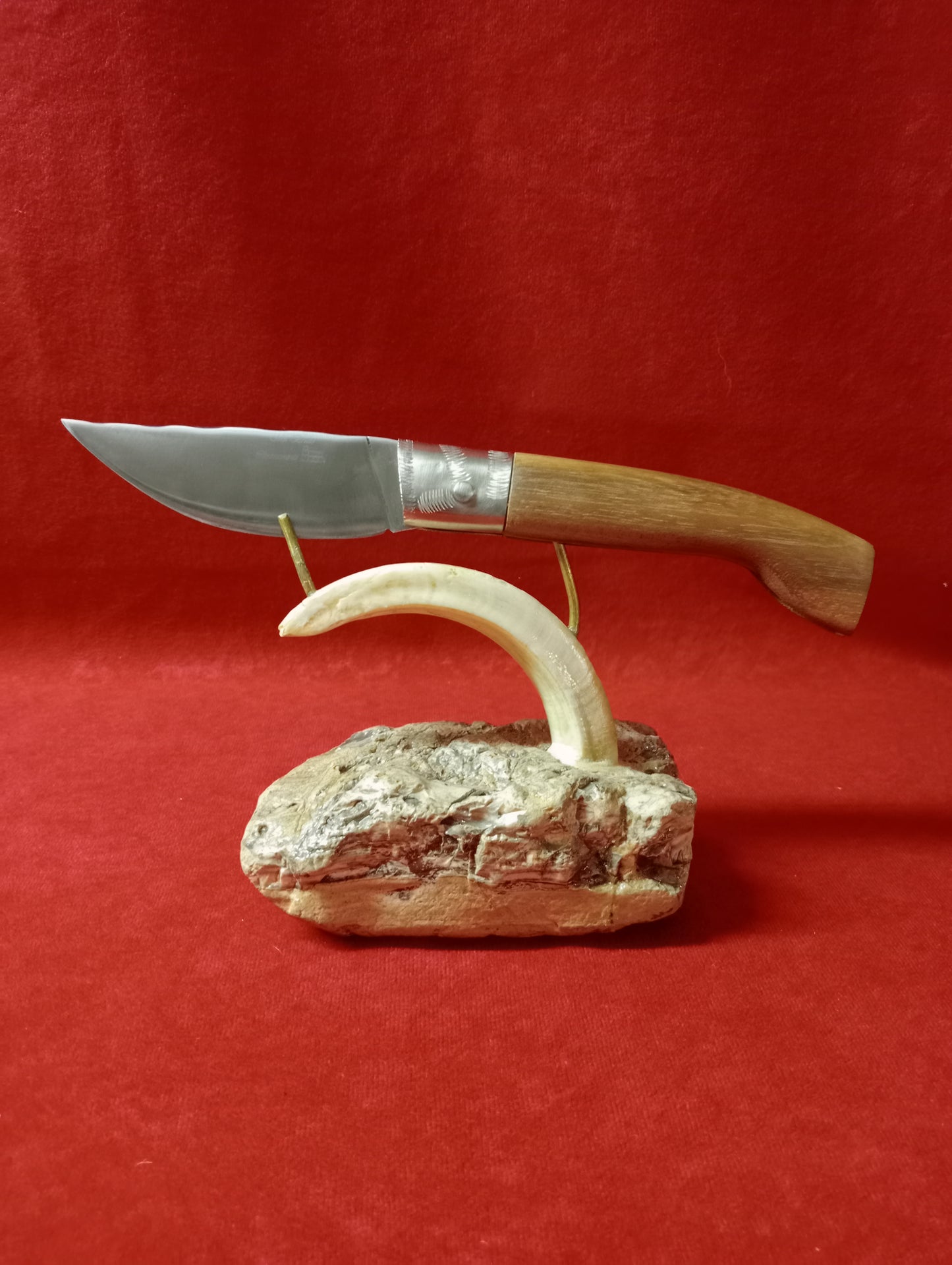 Coltello arburesa lama 9,5 impugnatura legno di acacia