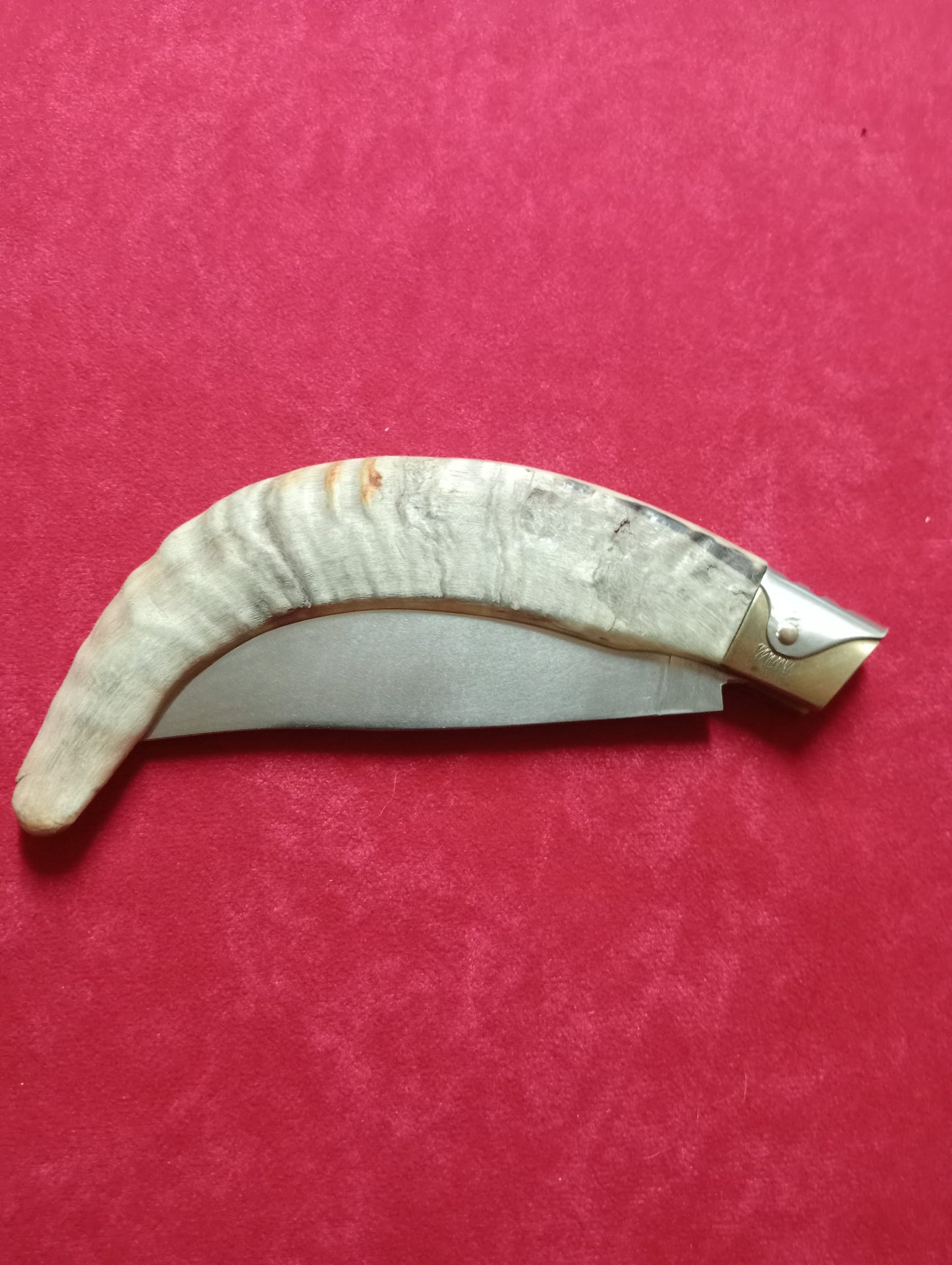 Coltello da collezione arburesa lama 11 CM impugnatura in  corno di montone