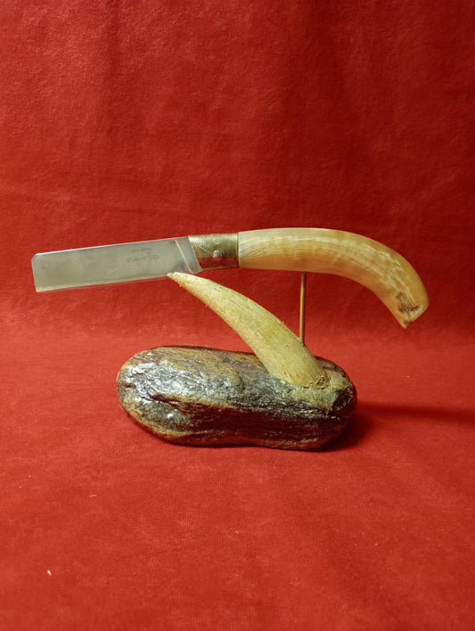 Coltello lametta lunghezza lama 10 CM in corno di montone
