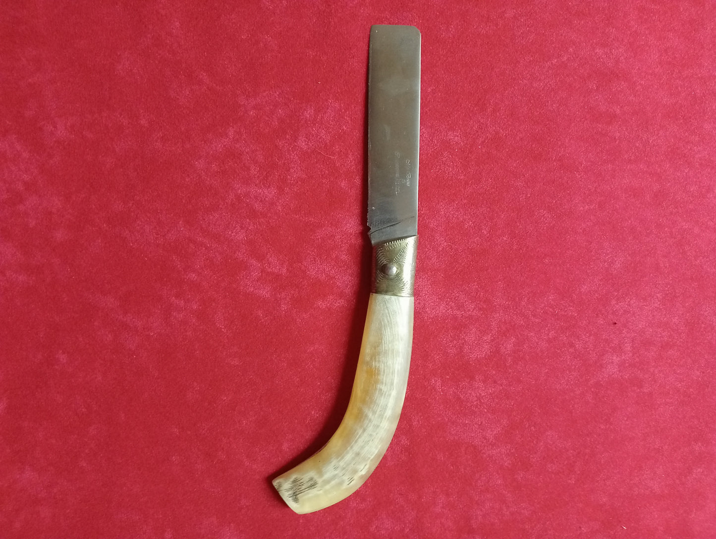 Coltello lametta lunghezza lama 10 CM in corno di montone
