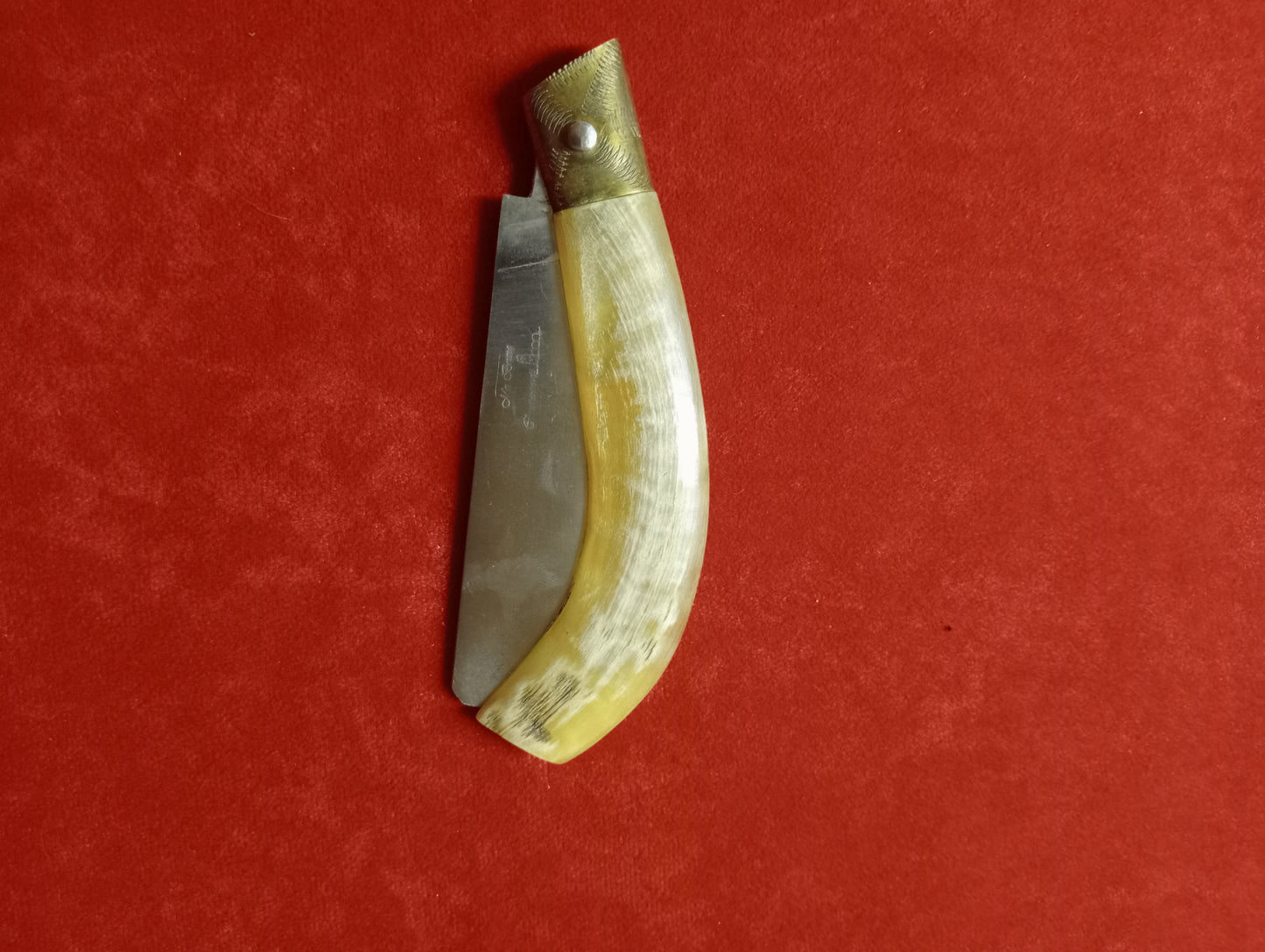 Coltello lametta lunghezza lama 10 CM in corno di montone