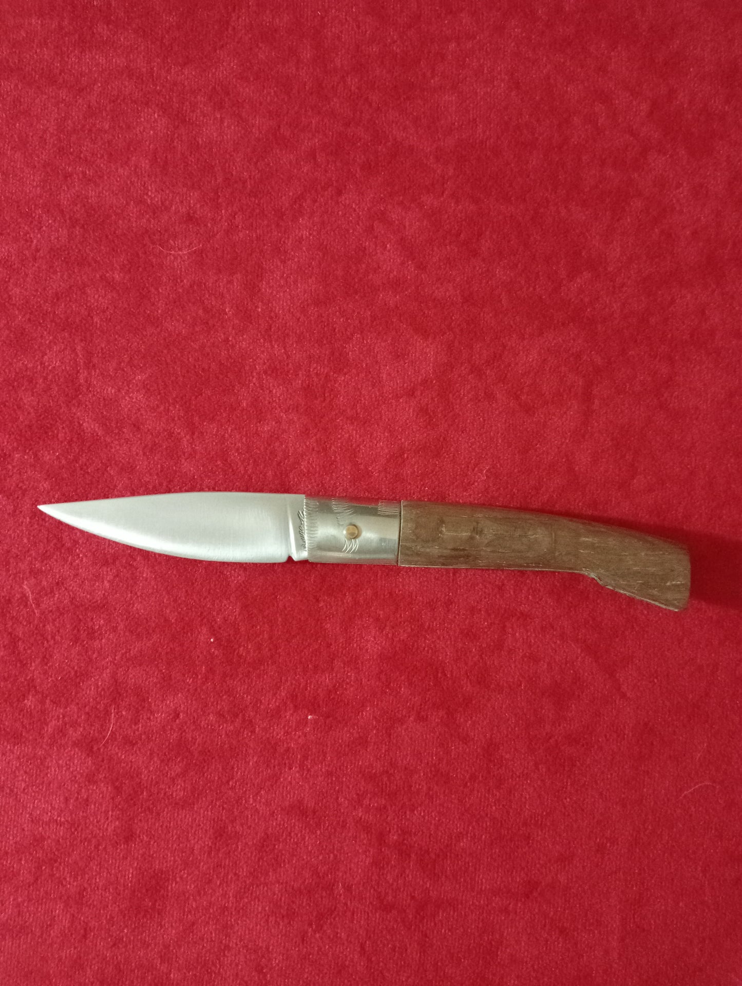 coltello pattadese lama 8CM impugnatura in legno di olivo